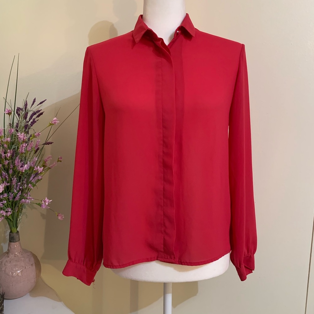 Personal Petites Sheer Button Up Blouse